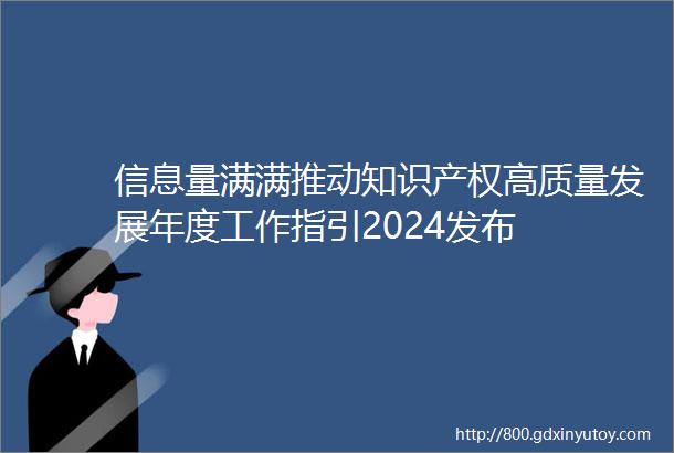 信息量满满推动知识产权高质量发展年度工作指引2024发布