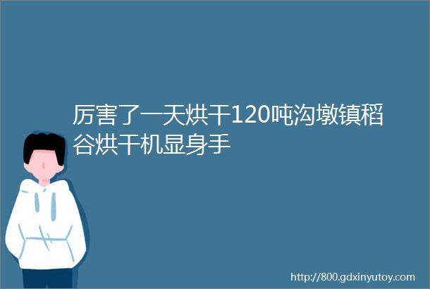 厉害了一天烘干120吨沟墩镇稻谷烘干机显身手